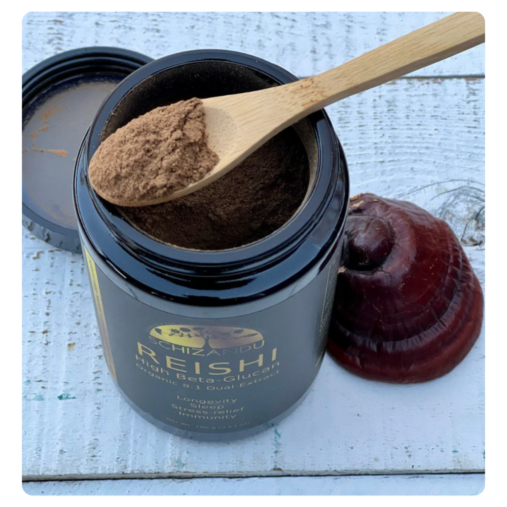 A black plastic jar of Chikara Reishi mushroom powder with a wooden spoon filled with the brown powder resting inside the open jar, set on a white wooden surface next to a whole reishi mushroom.