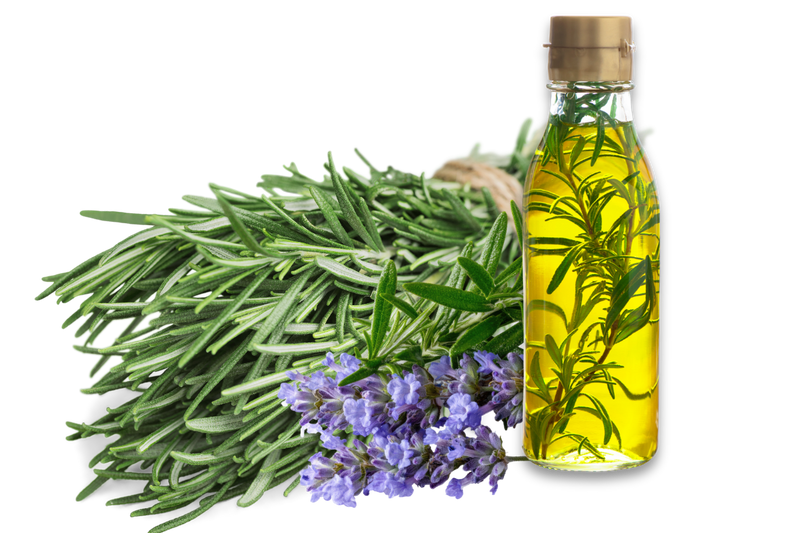 A clear glass bottle filled with golden yellow rosemary oil stands next to a bundle of fresh green rosemary sprigs and a small cluster of purple lavender flowers on a white background.