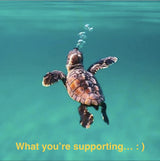 A baby sea turtle with the text, what you are supporting, under it, Schizandu