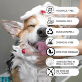 Pet Shampoo Bar