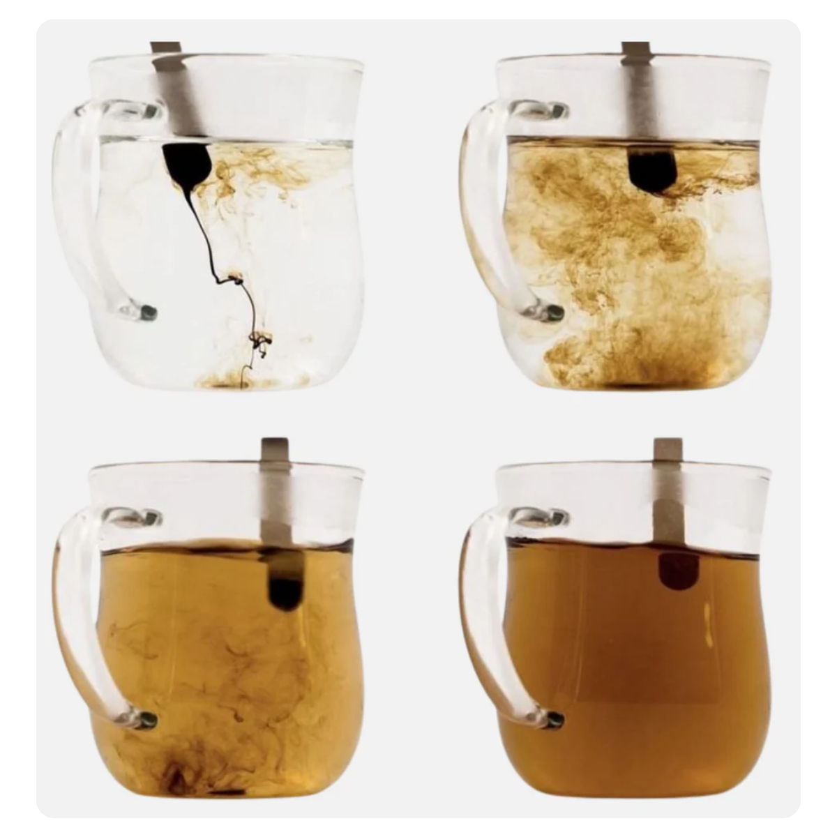 Four clear glass teapots arranged in a 2x2 grid on a white background, each filled with water and showing different tea concentrations and brewing states.